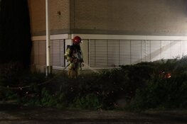 Brandweer weet erger te voorkomen bij felle struikbrand