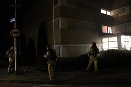 Brandweer weet erger te voorkomen bij felle struikbrand