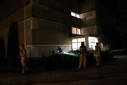 Brandweer weet erger te voorkomen bij felle struikbrand