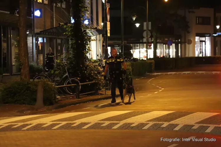 Politiehonden ingezet op kermis in Laren