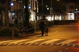 Politiehonden ingezet op kermis in Laren