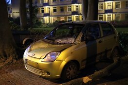 Grote tak breekt af, auto beschadigd