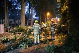 Grote tak breekt af, auto beschadigd