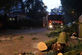 Grote tak breekt af, auto beschadigd