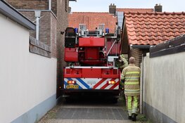 Stuurmanskunsten om 14 weken oud katje