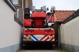 Stuurmanskunsten om 14 weken oud katje