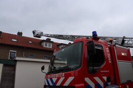 Stuurmanskunsten om 14 weken oud katje