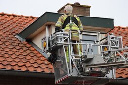 Stuurmanskunsten om 14 weken oud katje