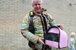 Stuurmanskunsten om 14 weken oud katje