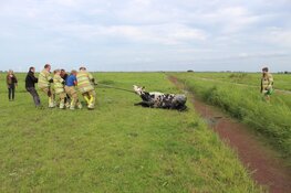 Brandweer redt koe uit de sloot in Blaricum