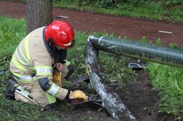 Automobilist raakt rijbewijs kwijt na botsing