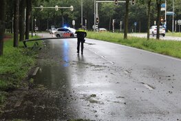 Automobilist raakt rijbewijs kwijt na botsing