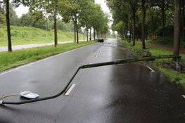 Automobilist raakt rijbewijs kwijt na botsing