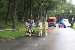 Automobilist raakt rijbewijs kwijt na botsing