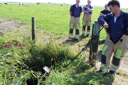 27 graden in Blaricum, koe in de sloot