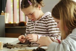 Uilenballen uitpluizen in ’s-Graveland