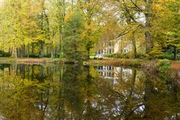 Ontdek de herfst op Gooilust in 's-Graveland
