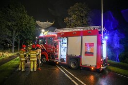 Auto loopt schade op door omgewaaide boom