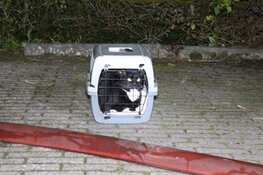 Brand in woning Blaricum, bewoonster meegenomen door politie