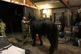 Paard in nood in stal in Huizen, brandweer twee uur bezig