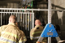 Paard in nood in stal in Huizen, brandweer twee uur bezig