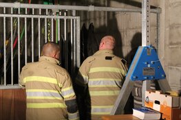 Paard in nood in stal in Huizen, brandweer twee uur bezig