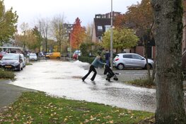 Veel wateroverlast in Huizen