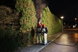 Voor zoveelste keer conifeer in brand in Naarden