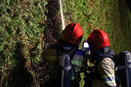 Voor zoveelste keer conifeer in brand in Naarden