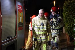 Voor zoveelste keer conifeer in brand in Naarden