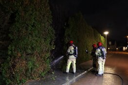 Voor zoveelste keer conifeer in brand in Naarden