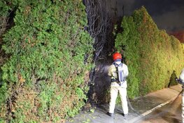 Voor zoveelste keer conifeer in brand in Naarden