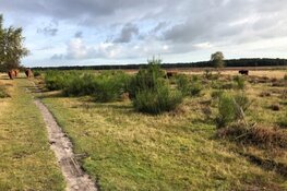 Uittreding Goois Natuurreservaat vrijwel voltooid