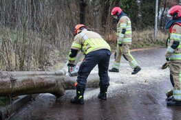 Bomen omgewaaid in Naarden