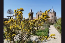 Voorjaarsvakantie bij Rijksmuseum Muiderslot