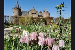 Voorjaarsvakantie bij Rijksmuseum Muiderslot