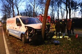Bestelbus tegen boom gereden in Blaricum, man gewond