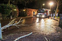 Stormschade aan de Sint Jansstraat in Laren