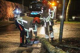 Stormschade aan de Sint Jansstraat in Laren