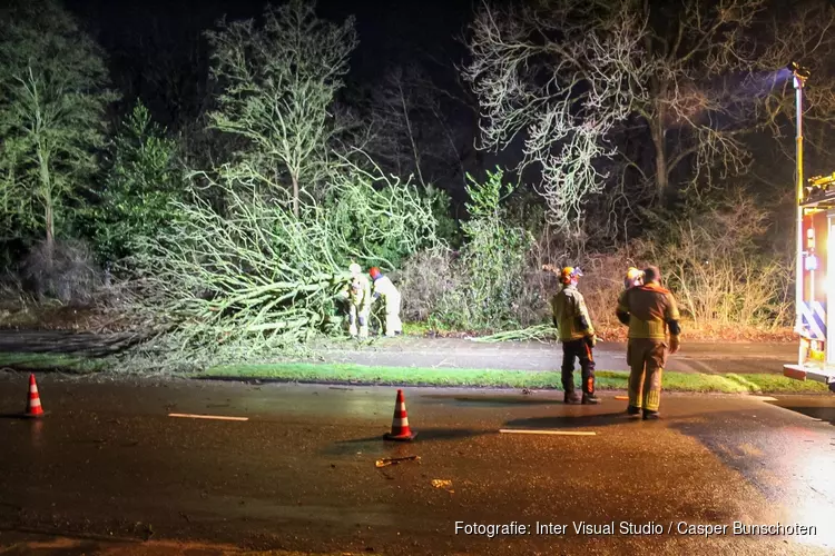 Boom omgewaaid langs H.A. Lorentzweg in Bussum
