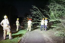 Boom omgewaaid langs H.A. Lorentzweg in Bussum