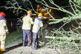 Boom omgewaaid langs H.A. Lorentzweg in Bussum