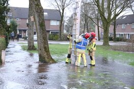 Waterleiding gesprongen door vallende boom in Huizen