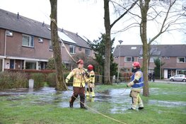 Waterleiding gesprongen door vallende boom in Huizen
