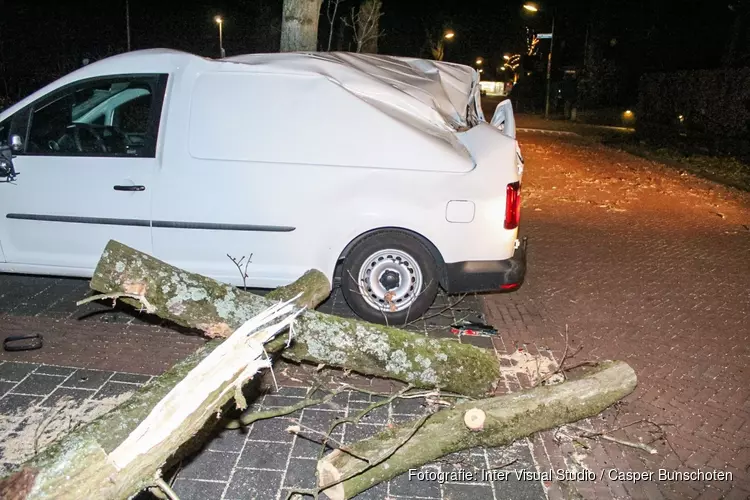 Bestelbus total-loss door omgewaaide boom in Laren
