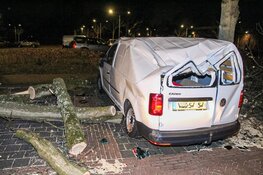 Bestelbus total-loss door omgewaaide boom in Laren
