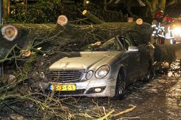 Boom op rijdende auto in Laren