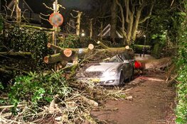 Boom op rijdende auto in Laren