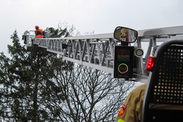 Boom valt bijna op spoor, treinverkeer stilgelegd bij Bussum