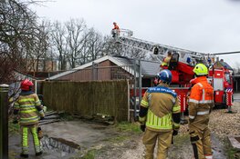 Boom valt bijna op spoor, treinverkeer stilgelegd bij Bussum